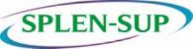 http://splen.free.fr/