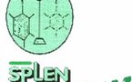 UNE NOUVELLE ORGANISATION A REJOINT LA CSEN.